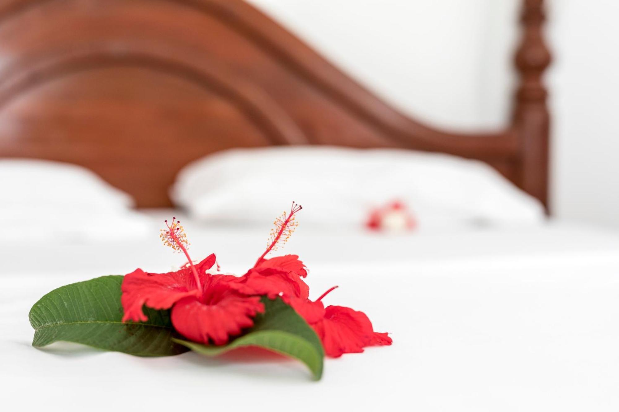 Hotel Kite Active Paje Zewnętrze zdjęcie